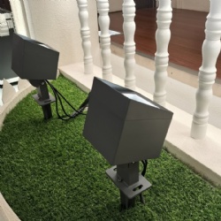 LED Spike Light--CN165L